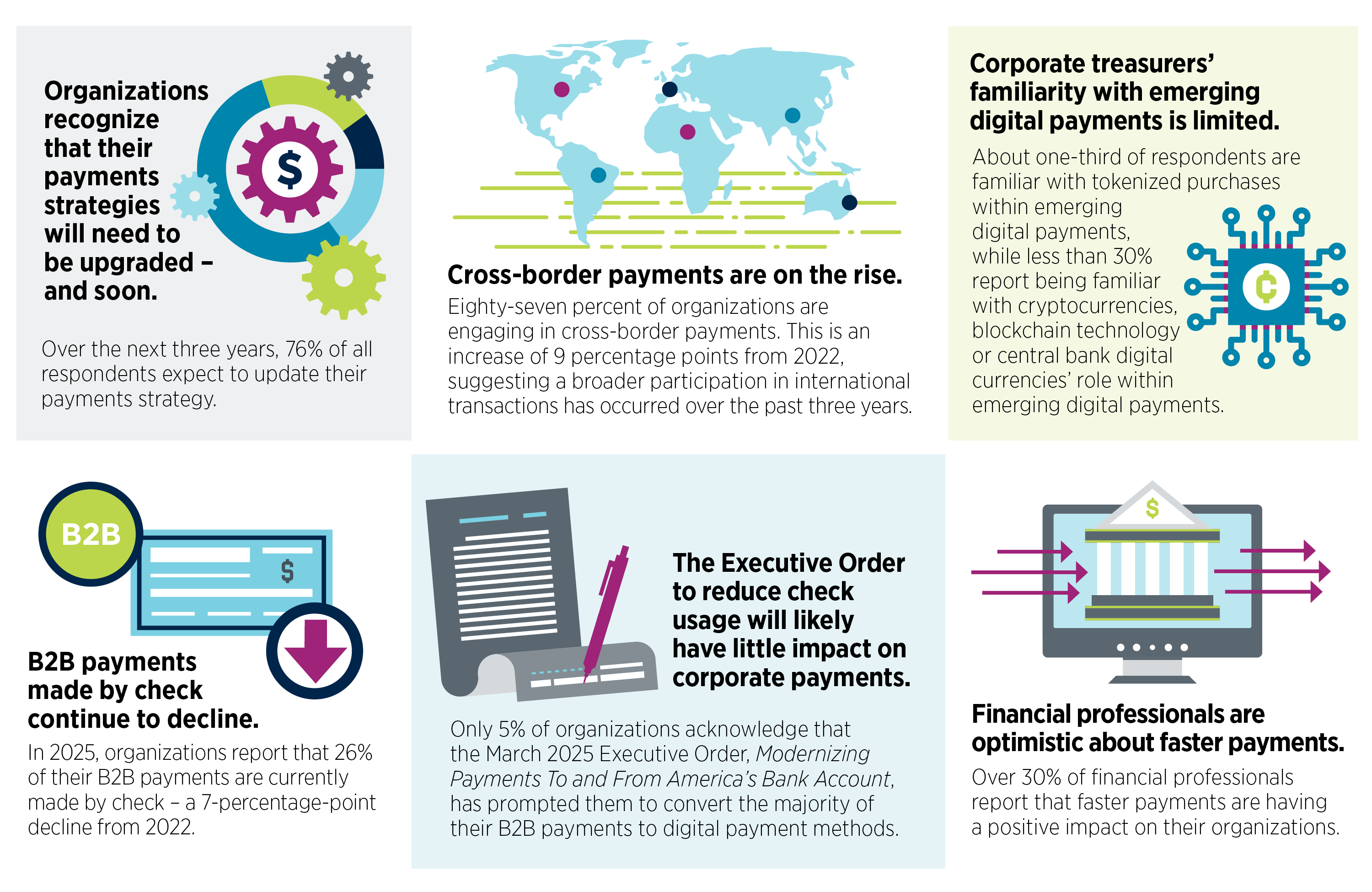 Key Findings DP Survey