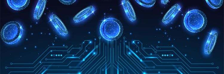 2025 Digital Payments Survey Executive Summary