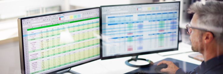 Finance Professional Using Excel