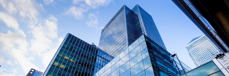Private Equity and Portfolio Company Offices