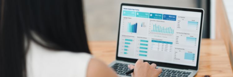 Woman Using Financial Dashboard