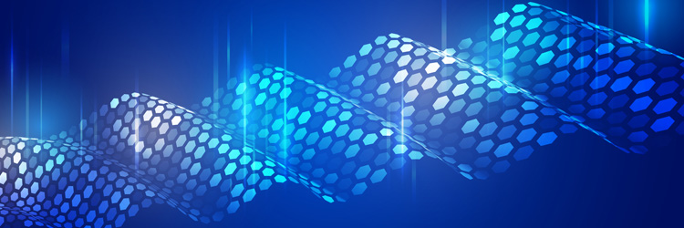 Synovus_Automated Payments Banks Have a Natural Advantage Synovus_Automated Payments Banks Have a Natural Advantage
