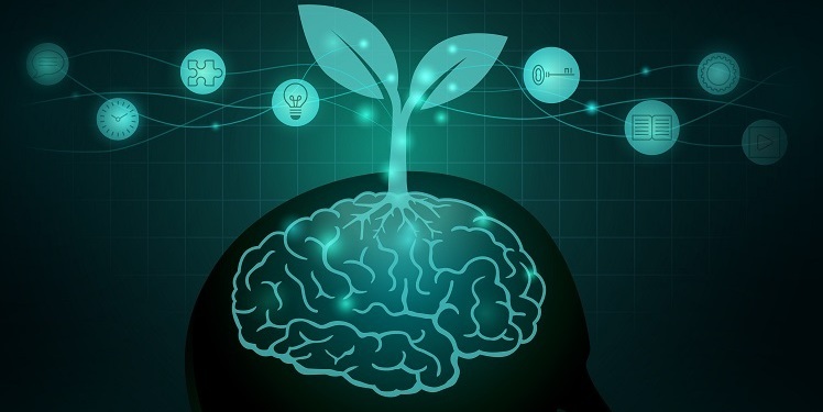 learning_mindset_article learning_mindset_article
