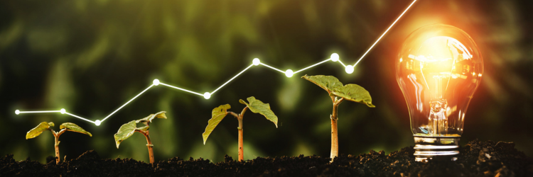 Sustainable Finance Sustainable Finance